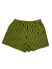 Costume SHOE swim boxer Dukef Stripe